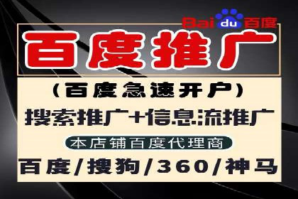 百度竞价广告投放数据分析